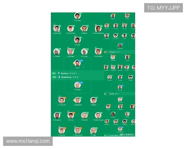 最新法甲联赛球队实力全面排名解析助你快速了解本赛季竞争格局