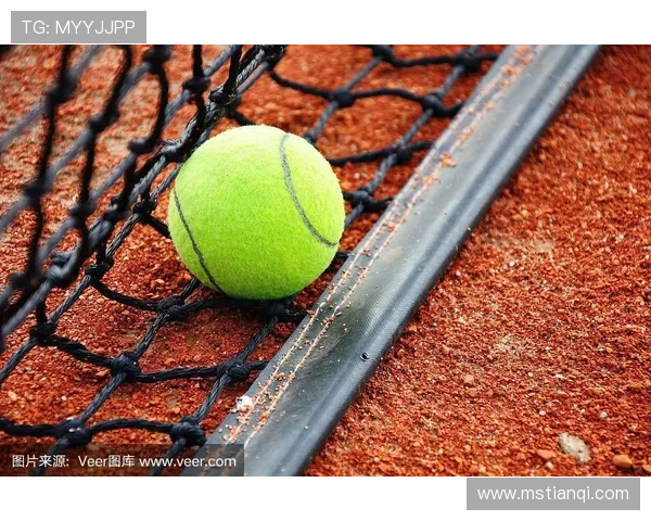 网球红土场地使用的是什么土材质及其特点解析