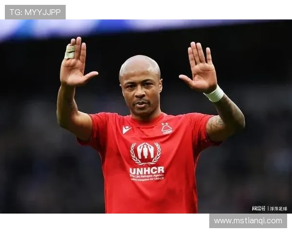 谢菲联主帅谈备战：备战英超，力争取得好成绩